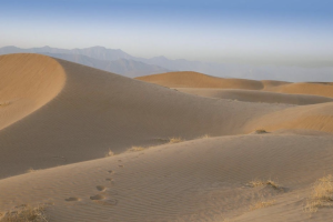 Dunas de Bilbao