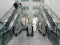 Arcos Bosques Escaleras