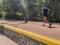 BOSQUE DE TLALPAN